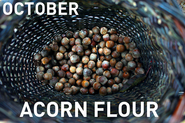 10_oct_acorns_text