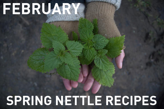 2_feb_nettles_small