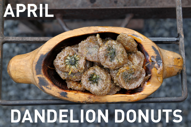 4_apr_dandeliondonuts_text