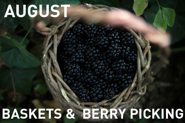 8_aug_baskets-and-berries_text