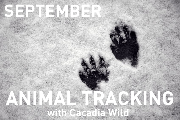 9_sep_animal-tracking_text
