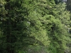NextGen scrollGallery2 thumbnail