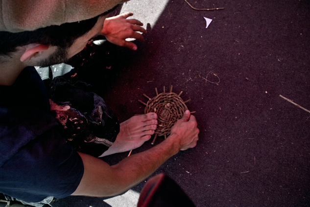 rewild_depave5