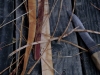 NextGen ScrollGallery thumbnail