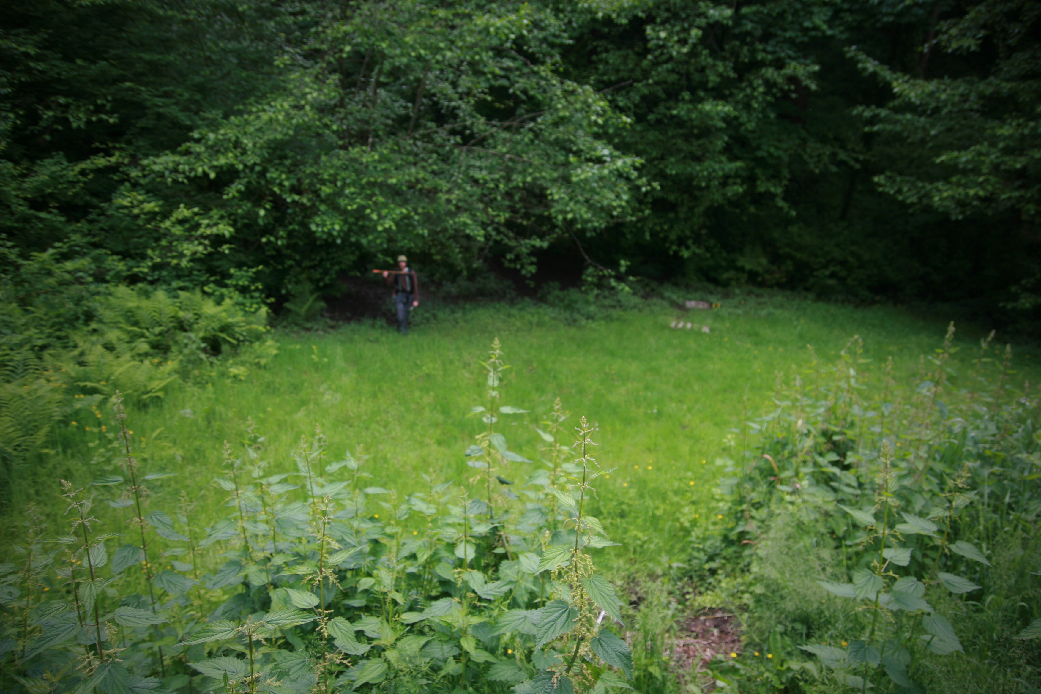 rewildcamp5_26_12-10