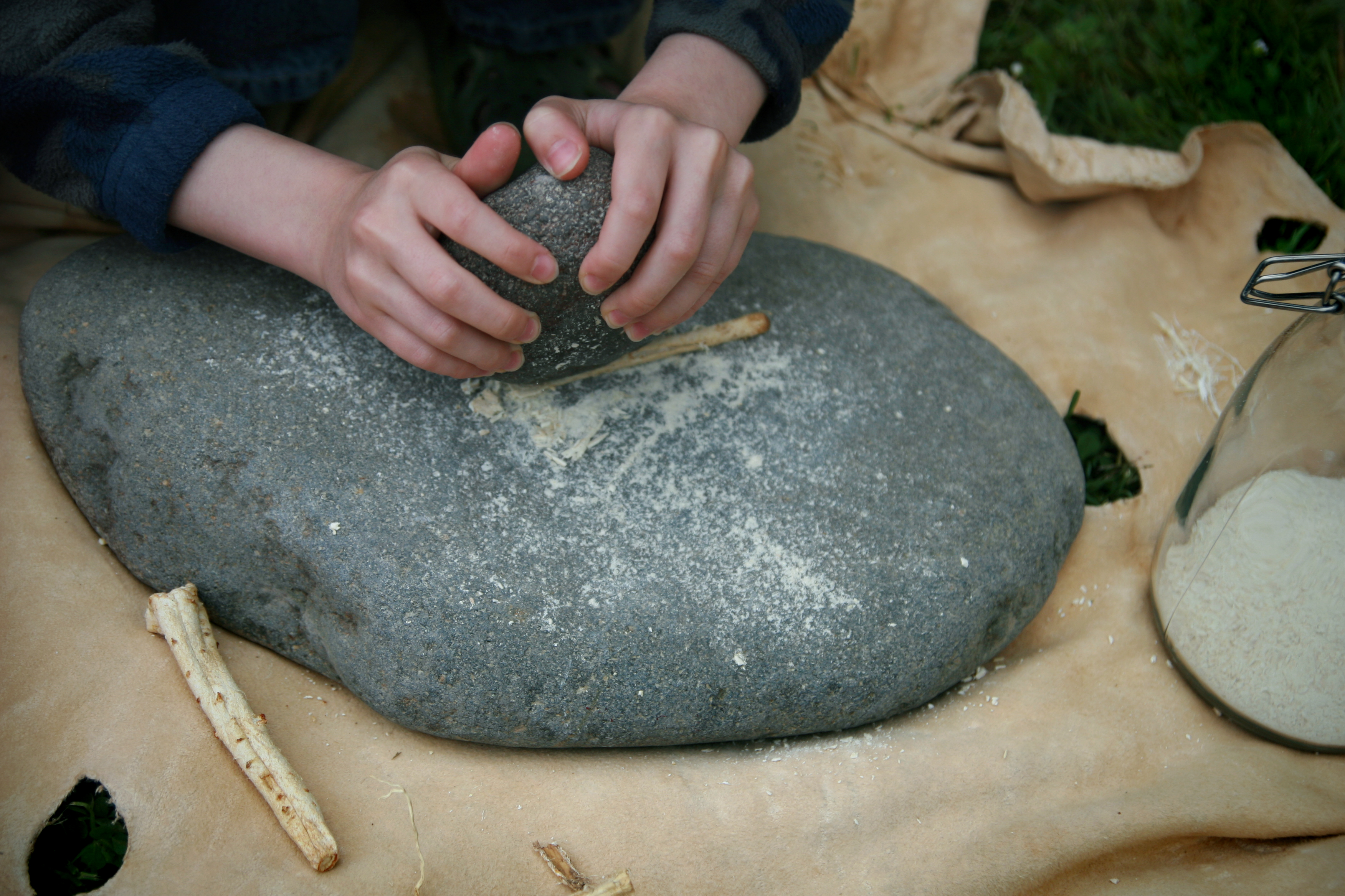 rewildcamp5_26_12-9