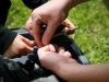 NextGen ScrollGallery thumbnail