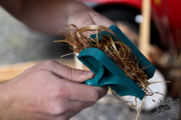 carding_fireweed