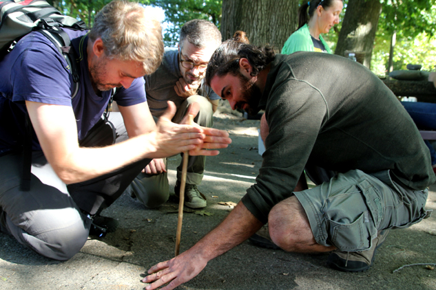 rewildcamp_92912f