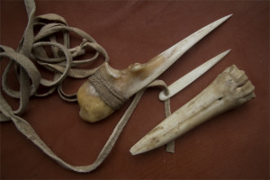 bonetools2