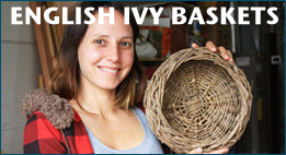 english_ivy_baskets