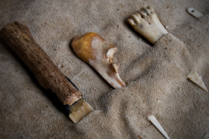 BoneAwls&Needles