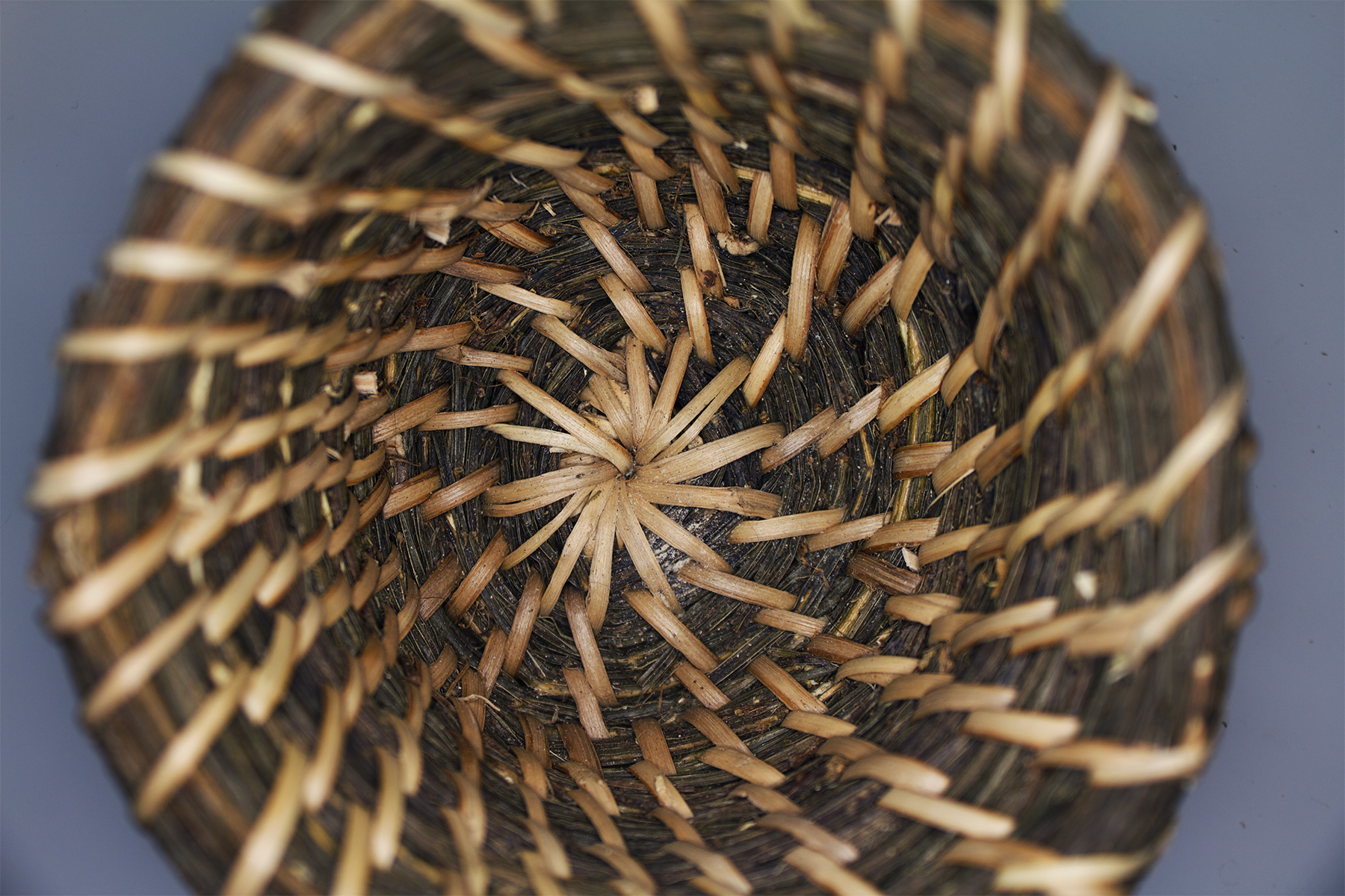 English Ivy Basketry Classes Portland, Oregon Rewild Portland