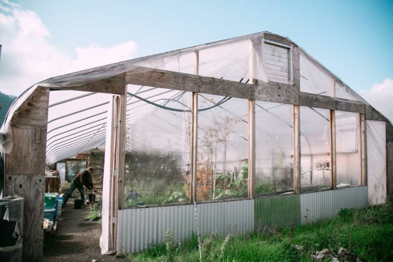 The Rewild Portland Nursery Rewild Portland